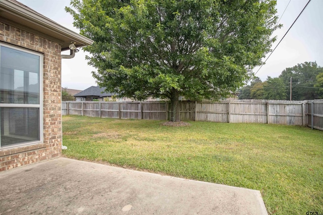 view of yard with a patio area