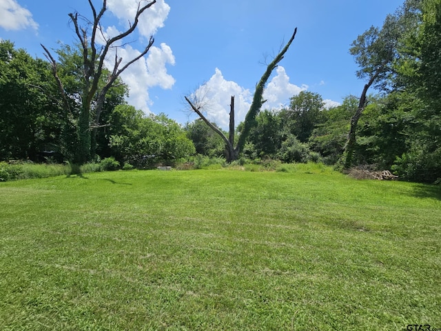 206 Lilly St, Elkhart, TX 75839 - photo 23
