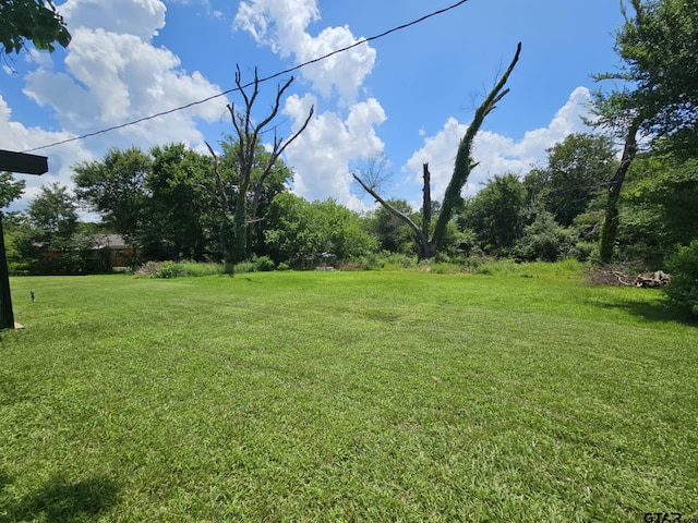 206 Lilly St, Elkhart, TX 75839 - photo 7