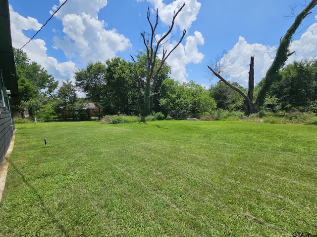206 Lilly St, Elkhart, TX 75839 - photo 3