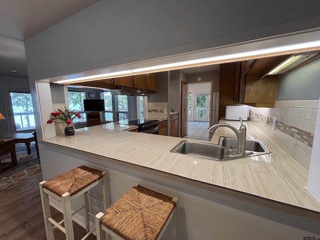 20868 Bay Shore Dr, Flint, TX 75762 - kitchen with tasteful backsplash, healthy amount of natural light, under cabinet range hood, and a breakfast bar