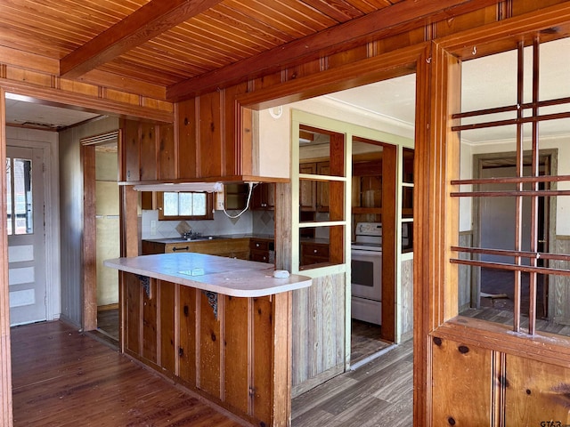 kitchen featuring backsplash, dark wood-type flooring, beam ceiling, and white electric range