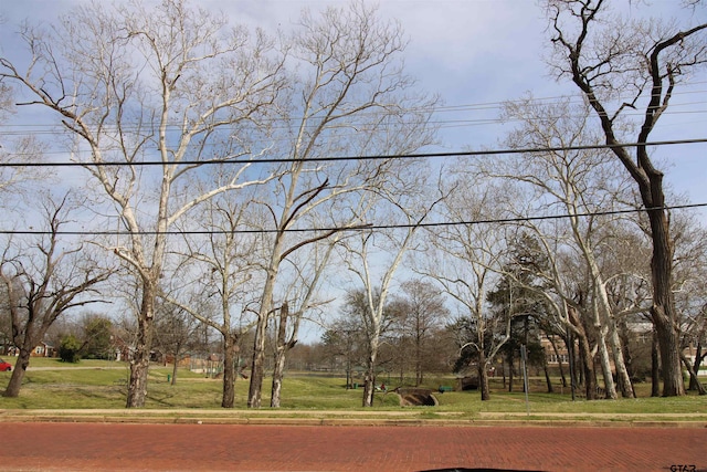 view of home's community featuring a lawn