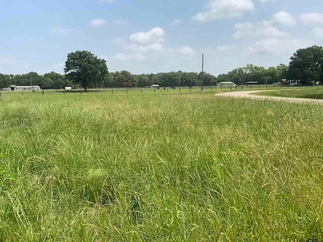 Listing photo 2 for TBD Cades Cove Rd, Chandler TX 75758