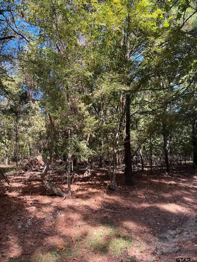 LOT7 Whippoorwill, Mount Vernon TX, 75457 land for sale