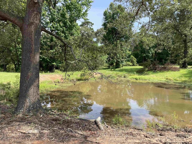 2388 Lansing Switch Rd, Longview, TX 75602 - photo 5