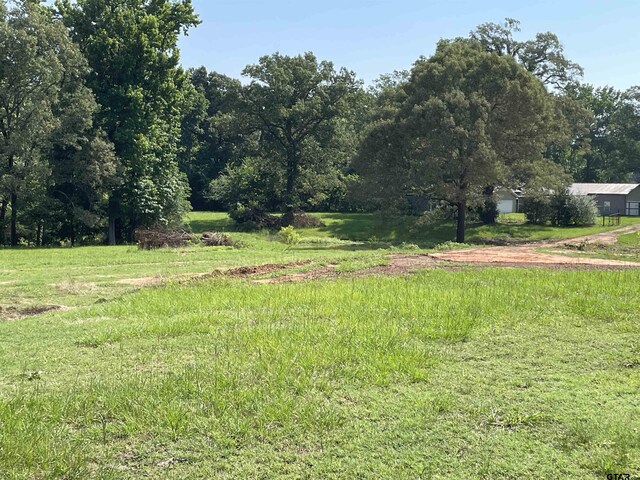 2388 Lansing Switch Rd, Longview, TX 75602 - photo 16