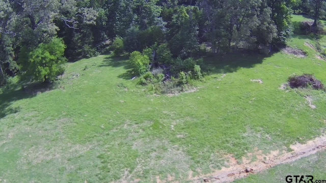 2388 Lansing Switch Rd, Longview, TX 75602 - photo 10