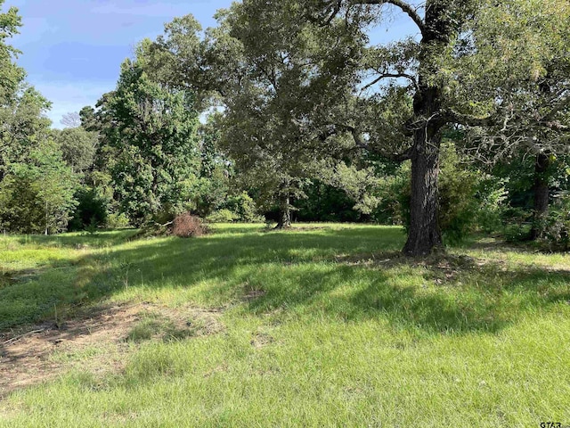 2388 Lansing Switch Rd, Longview, TX 75602 - photo 13