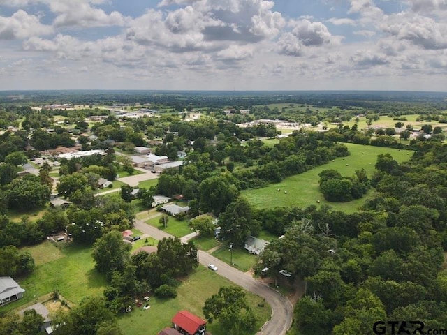 bird's eye view