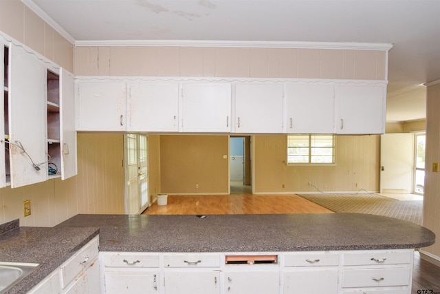 kitchen featuring dark wood-type flooring, plenty of natural light, and crown molding