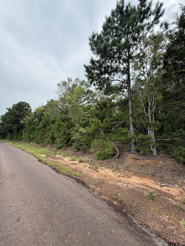 TBD County Road 4620, Troup, TX 75789 - photo 3