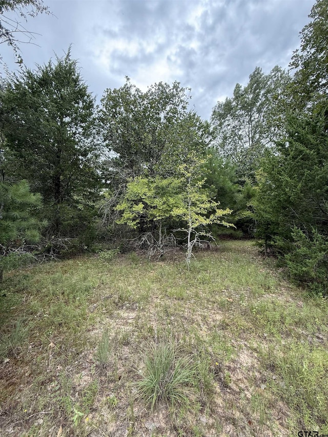 TBD County Road 4620, Troup, TX 75789 - photo 4