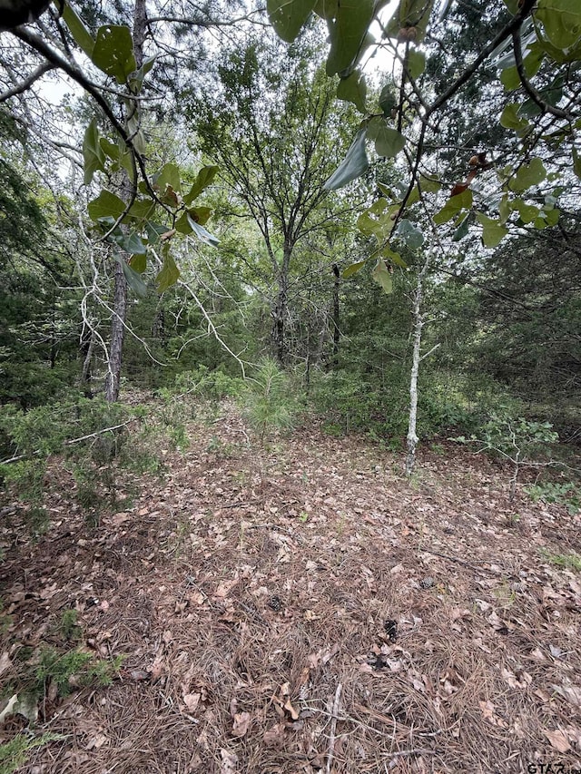 TBD County Road 4620, Troup, TX 75789 - photo 6