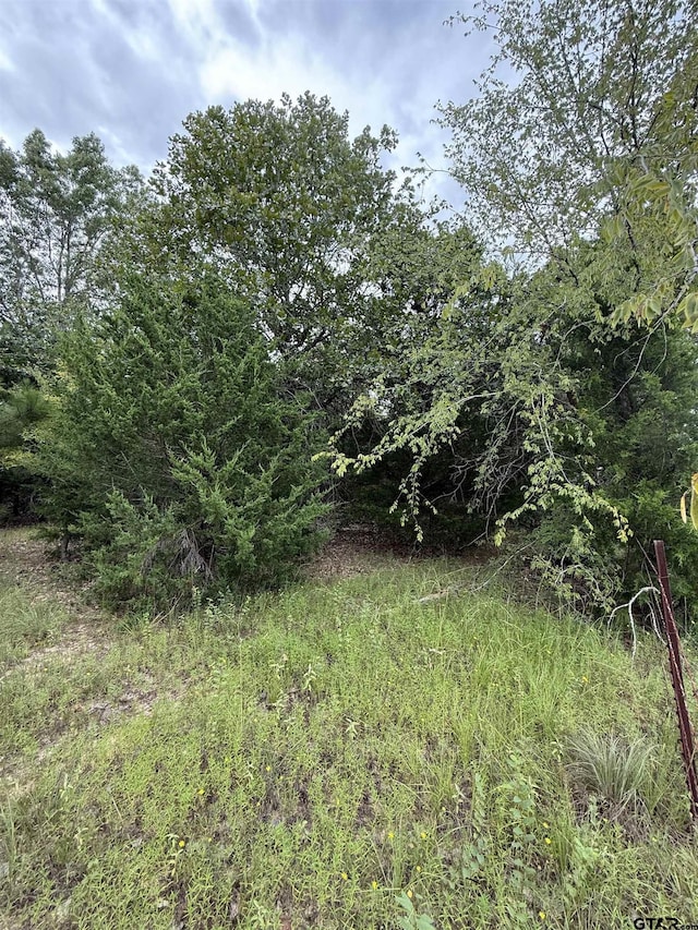 TBD County Road 4620, Troup, TX 75789 - photo 2
