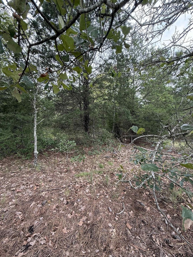 TBD County Road 4620, Troup, TX 75789 - photo 7