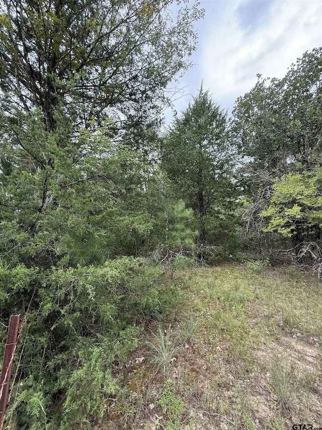 TBD County Road 4620, Troup, TX 75789 - photo 1