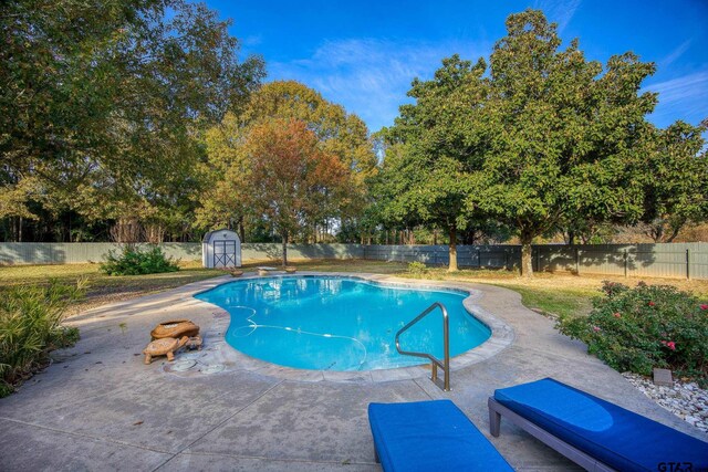 view of swimming pool with a patio and a storage shed