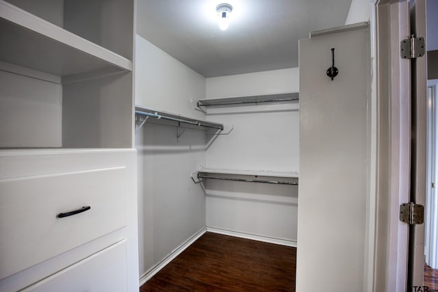 walk in closet with dark hardwood / wood-style flooring