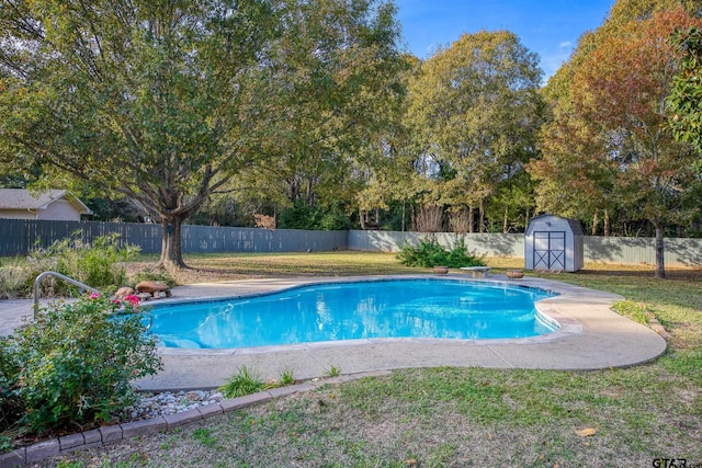 view of swimming pool featuring a diving board, a yard, and a storage shed