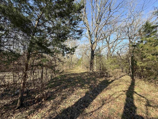 TBD Cr 4744, Sulphur Springs, TX 75482