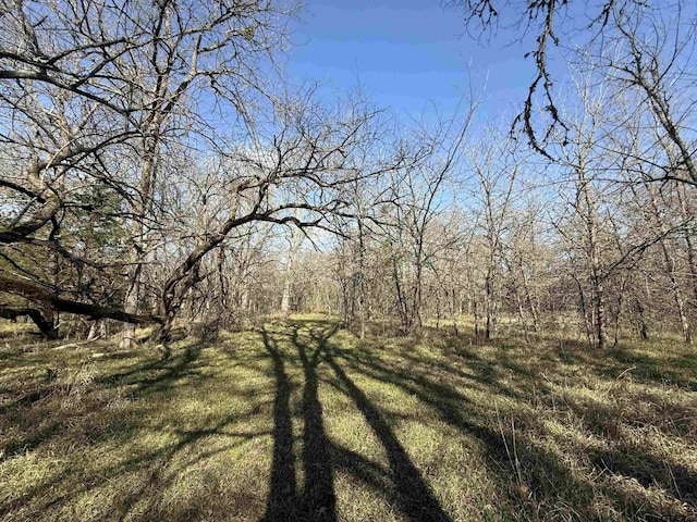 TBD Cr 4744, Sulphur Springs, TX 75482
