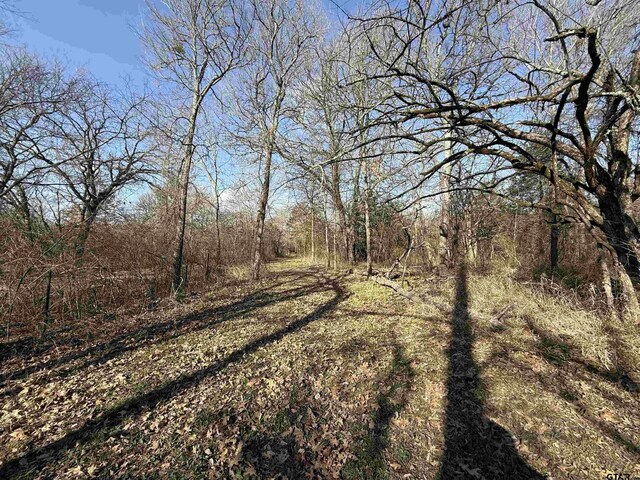 TBD Cr 4744, Sulphur Springs, TX 75482