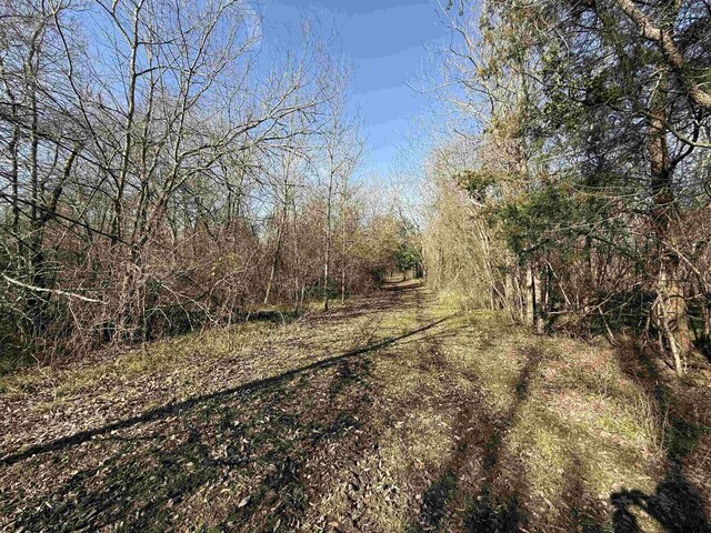 TBD Cr 4744, Sulphur Springs, TX 75482