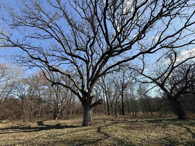 TBD Cr 4744, Sulphur Springs, TX 75482
