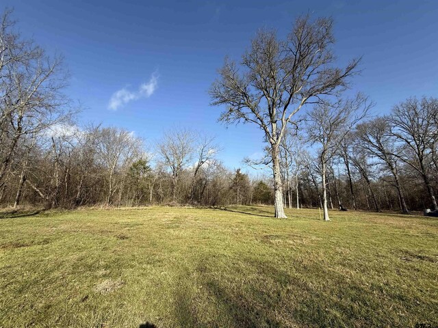 TBD Cr 4744, Sulphur Springs, TX 75482