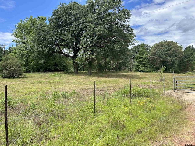 Listing photo 3 for TBD County Road 314, Henderson TX 75652