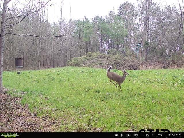 tbd Fm 852, Gilmer, TX 75644 - photo 4