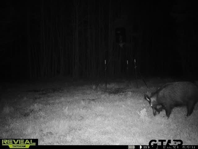 tbd Fm 852, Gilmer, TX 75644 - photo 5