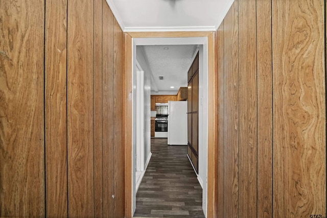 corridor featuring wood walls, dark wood-type flooring, and a textured ceiling