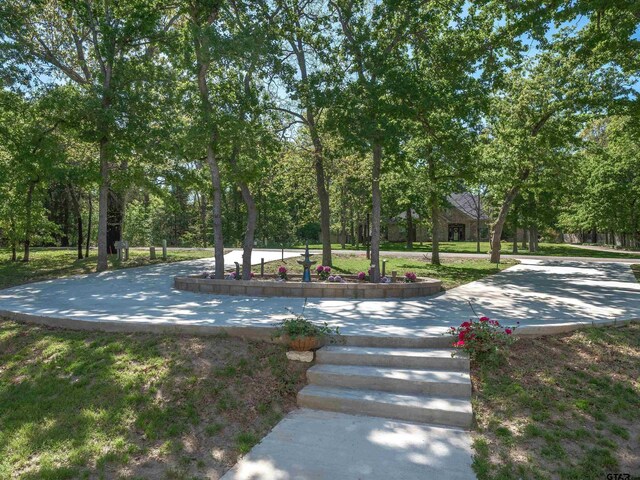 107 County Road 2317, Mineola, TX 75773 - photo 6