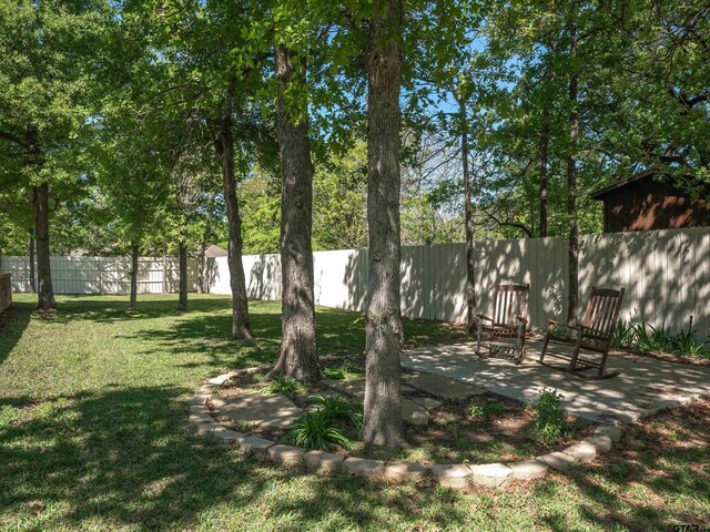 107 County Road 2317, Mineola, TX 75773 - photo 39