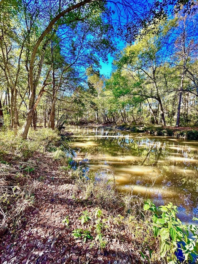 000 Grand View Dr, Athens, TX 75752