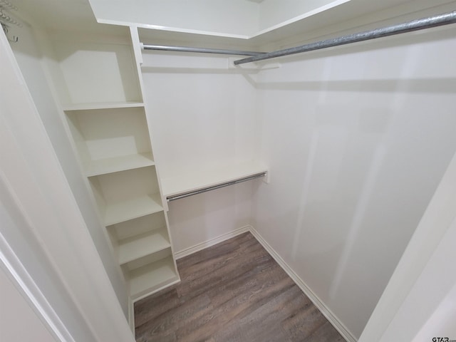 walk in closet featuring dark wood-type flooring