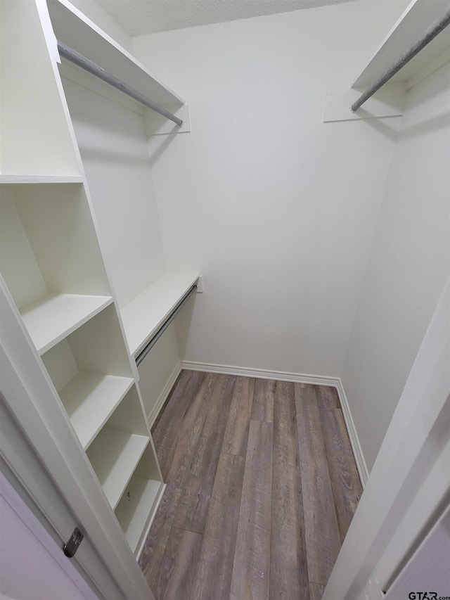 spacious closet featuring dark hardwood / wood-style floors