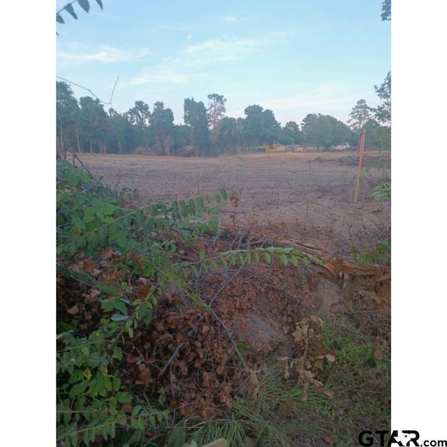 5186 County Road 381, Tyler, TX 75708 - photo 3