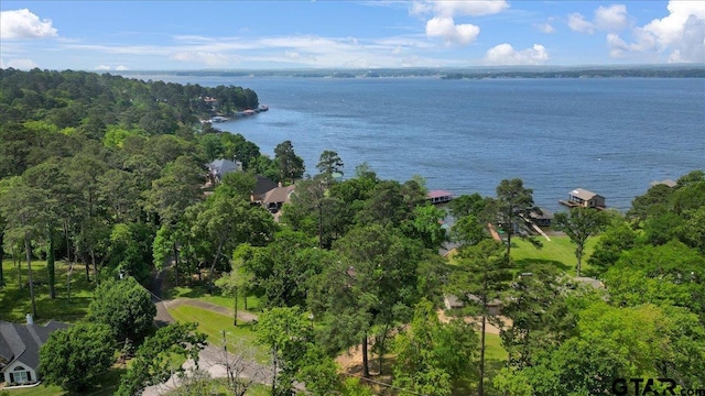 23324 Bay Side Dr, Bullard, TX 75757 - drone / aerial view of a nearby body of water