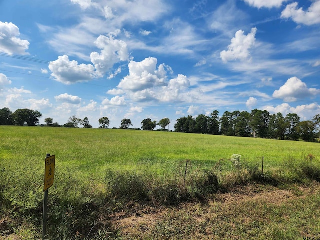 Listing photo 3 for TBD Cr 3249, Mount Pleasant TX 75455