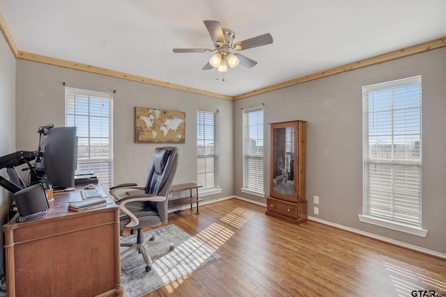 home office with ceiling fan, ornamental molding, and wood-type flooring