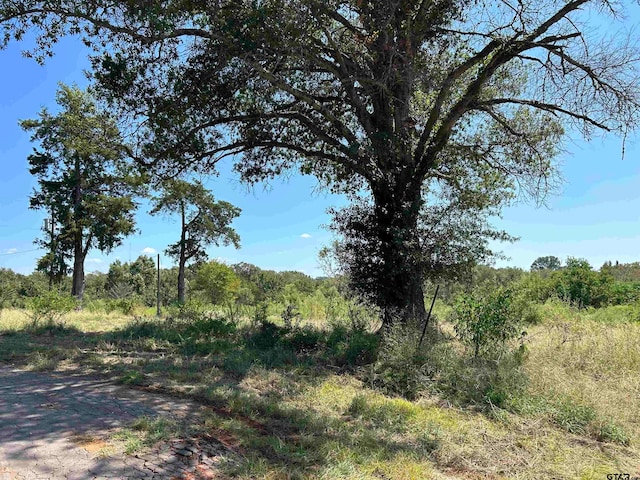 15627 C R 192, Tyler TX, 75703 land for sale