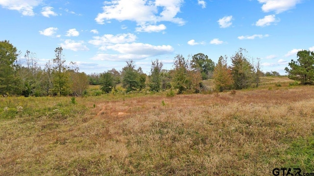 Listing photo 2 for TBD Fm 856, Troup TX 75789