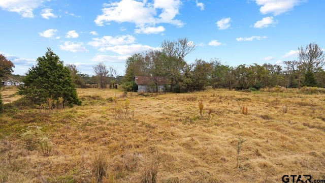 Listing photo 3 for TBD Fm 856, Troup TX 75789