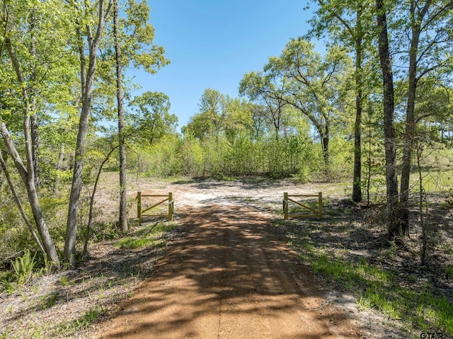 000 Fm, Chandler, TX 75758 - photo 16