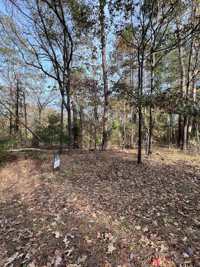 LOT236 Canadian Dr, Scroggins TX, 75480 land for sale