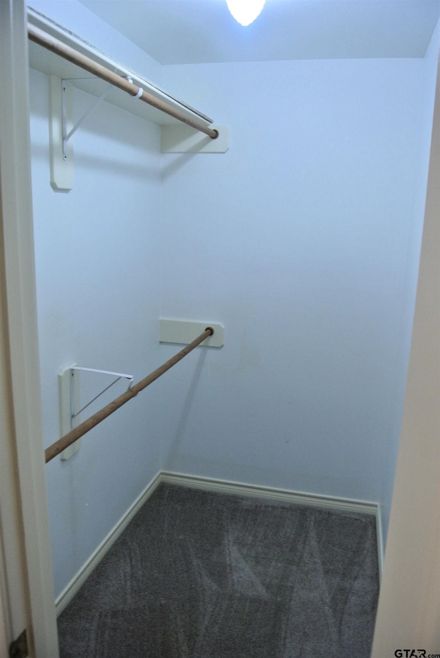 spacious closet featuring carpet floors