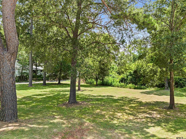 TBD Owens, Jefferson TX, 75657 land for sale